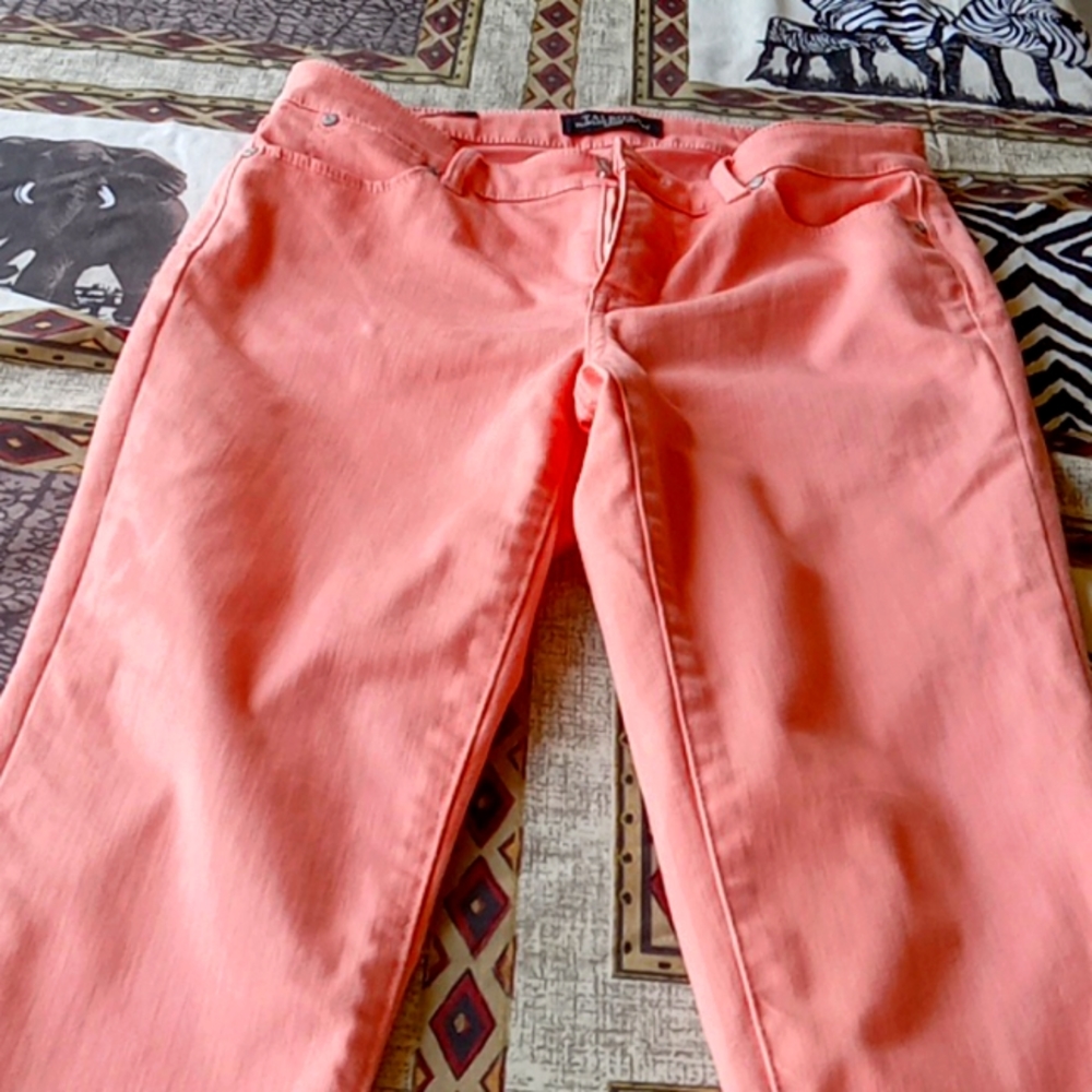 PEACH COLORED CAPRI PANTS